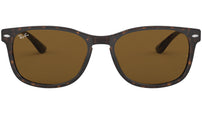 RB2184 tortoise