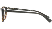 3067 002 tortoise