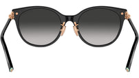 TF4223D 80013C Black