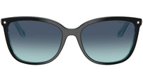 TF4105HB 81939S Black