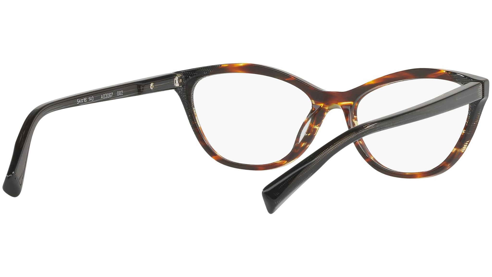 3067 002 tortoise