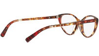 3081 004 tortoise