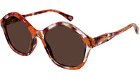 CC0010S 005 Tortoise Brown