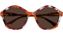 CC0010S 005 Tortoise Brown