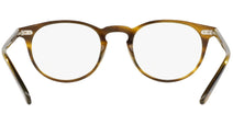 Riley-R OV5004 moss tortoise